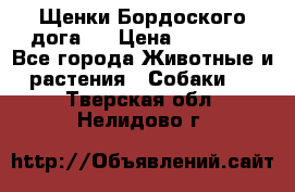 Щенки Бордоского дога.  › Цена ­ 30 000 - Все города Животные и растения » Собаки   . Тверская обл.,Нелидово г.